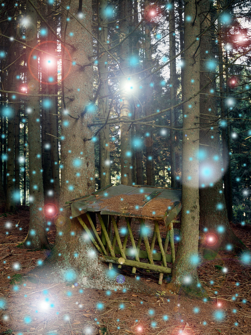 © Serge Hasenböhler, <em>Unter den Bäumen,</em> 2006