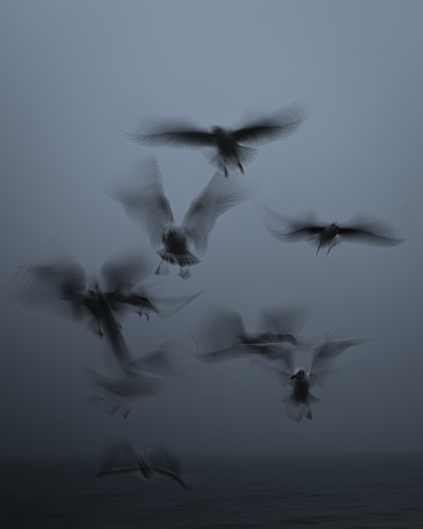 @ Simone Nathalie Fuchs, aus der Serie «Saat», 2025