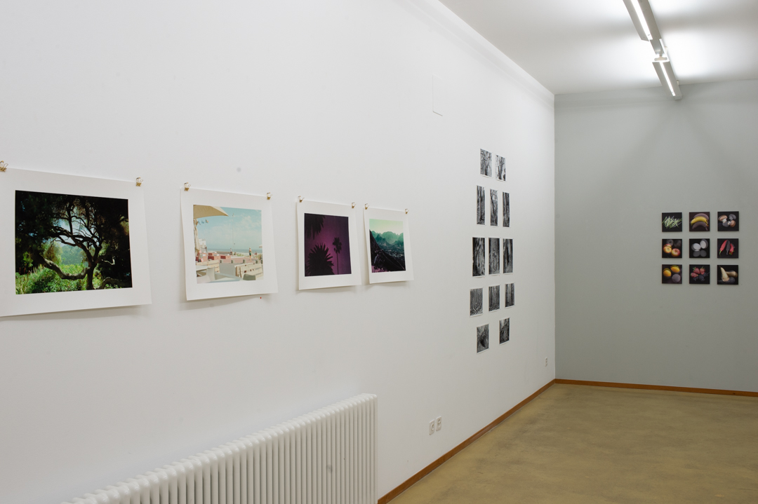 Ausstellungsdokumentation «notwendig»