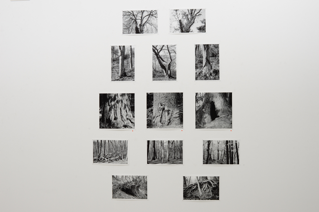 Ausstellungsdokumentation «notwendig»