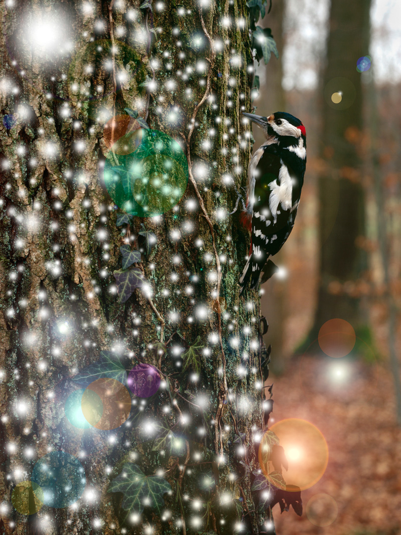 © Serge Hasenböhler, <em>Unter den Bäumen,</em> 2006