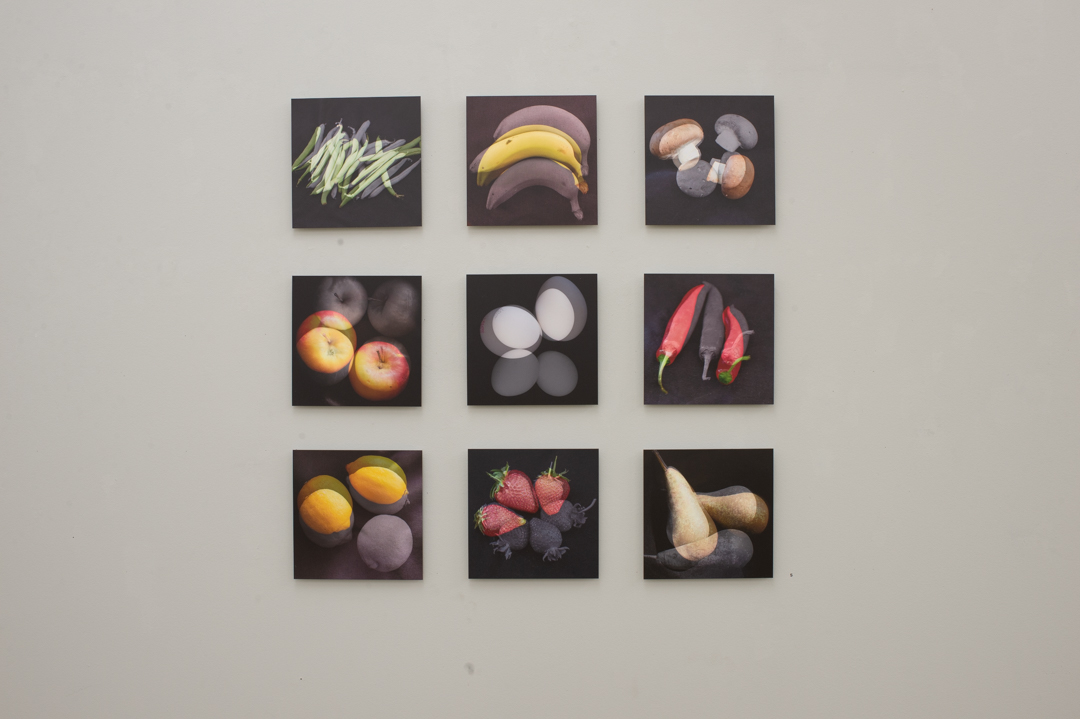 Ausstellungsdokumentation «notwendig»