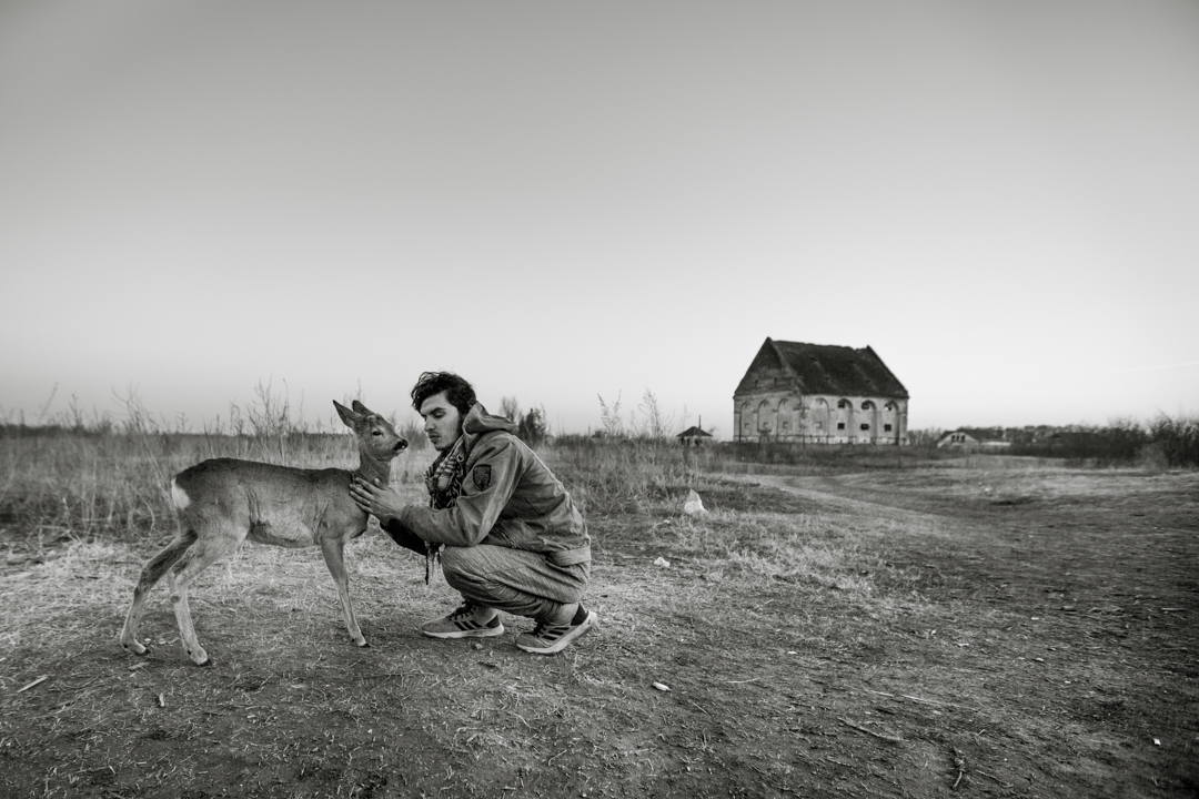 Klaus Petrus, <em>Spuren der Flucht</em>