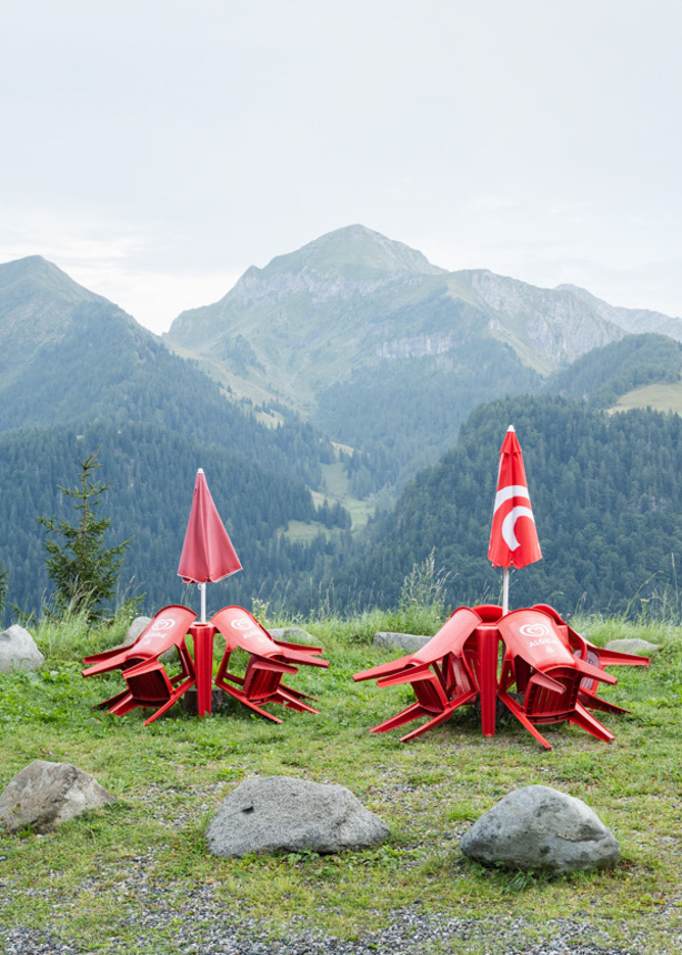 © Nico Fritzenschaft