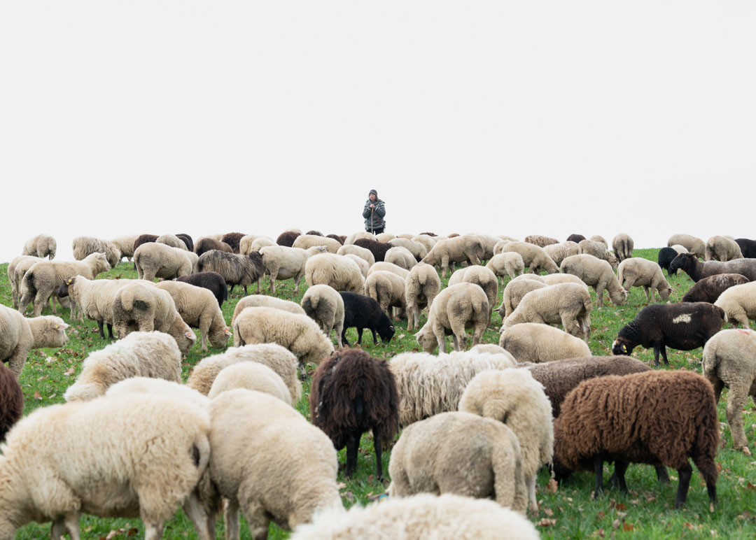 © Stephanie Meier, aus der Serie «immer wieder sonntags», 2024