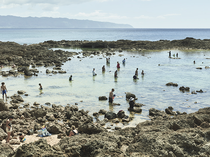 © Kostas Maros, <em>Human Nature</em>