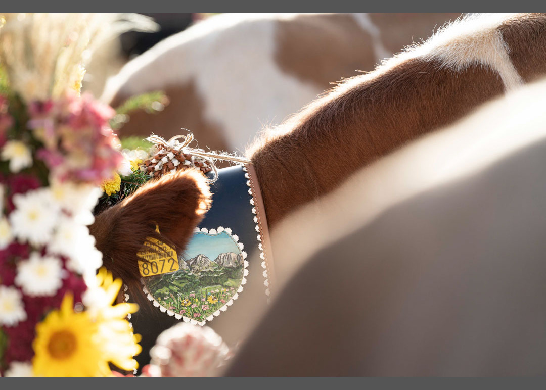 © Stephanie Meier, aus dem Buchprojekt von Niklaus Starck «Le Pays D`Enhaut - Land, Leute,  Geschichten und Traditionen», 2025