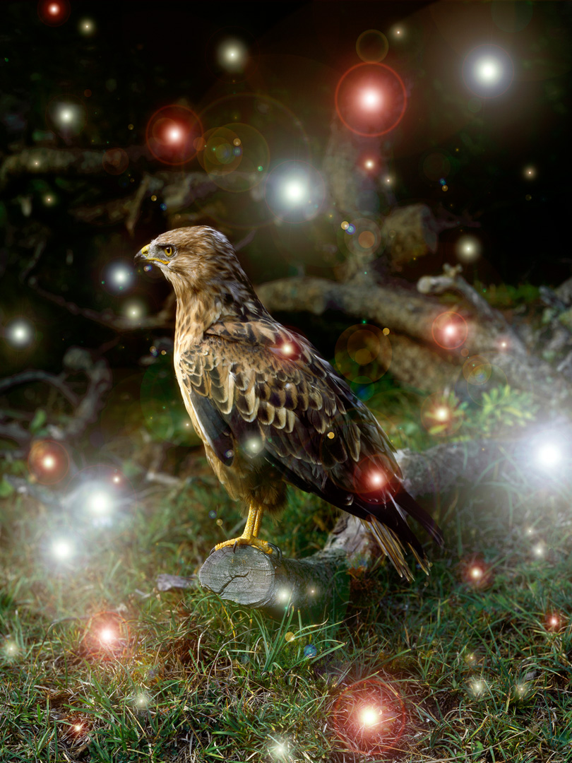 © Serge Hasenböhler, <em>Unter den Bäumen,</em> 2006