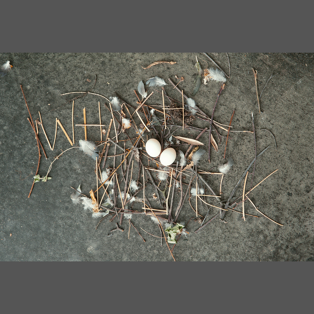 © Rut Himmelsbach, Ohne Titel, Installiert für Fotografie, 2014