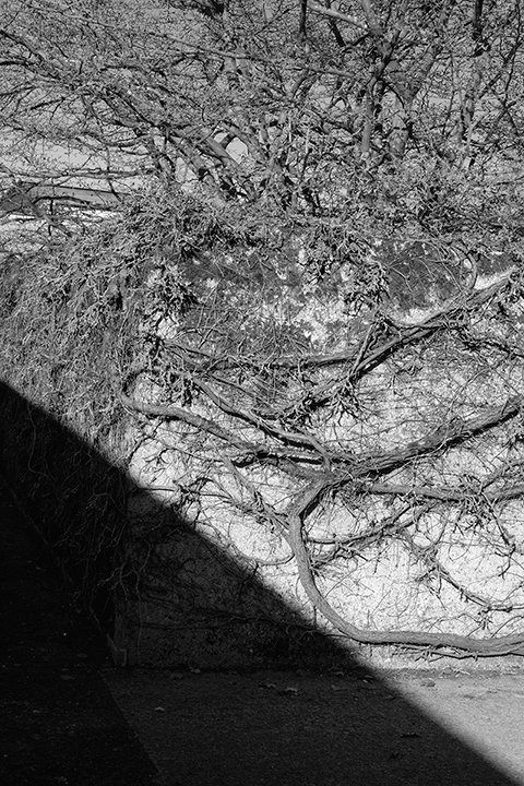 © Christian Schnur, <em>Glaube und Hoffnung</em>