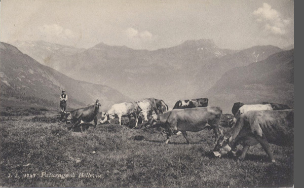 <span class='txt12-gruen'>Paturage à Bellevue</span><br /><span class='txt12'>Phot. Julien frères / ungelaufen</span><br />