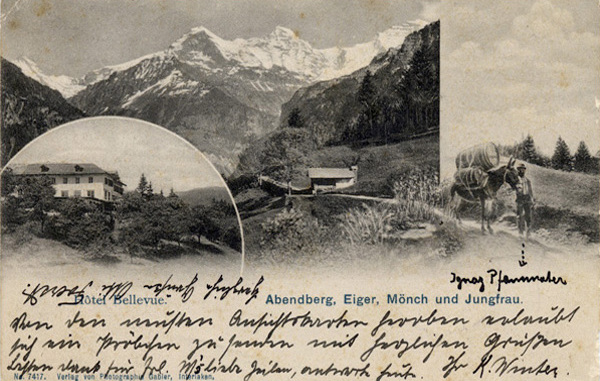 <span class='txt12-gruen'>Hôtel Bellevue. Abendberg, Eiger, Mönch und Jungfrau.</span><br /><span class='txt12'>Verlag von Photographie Gabler, Interlaken / gelaufen, 1902</span><br />